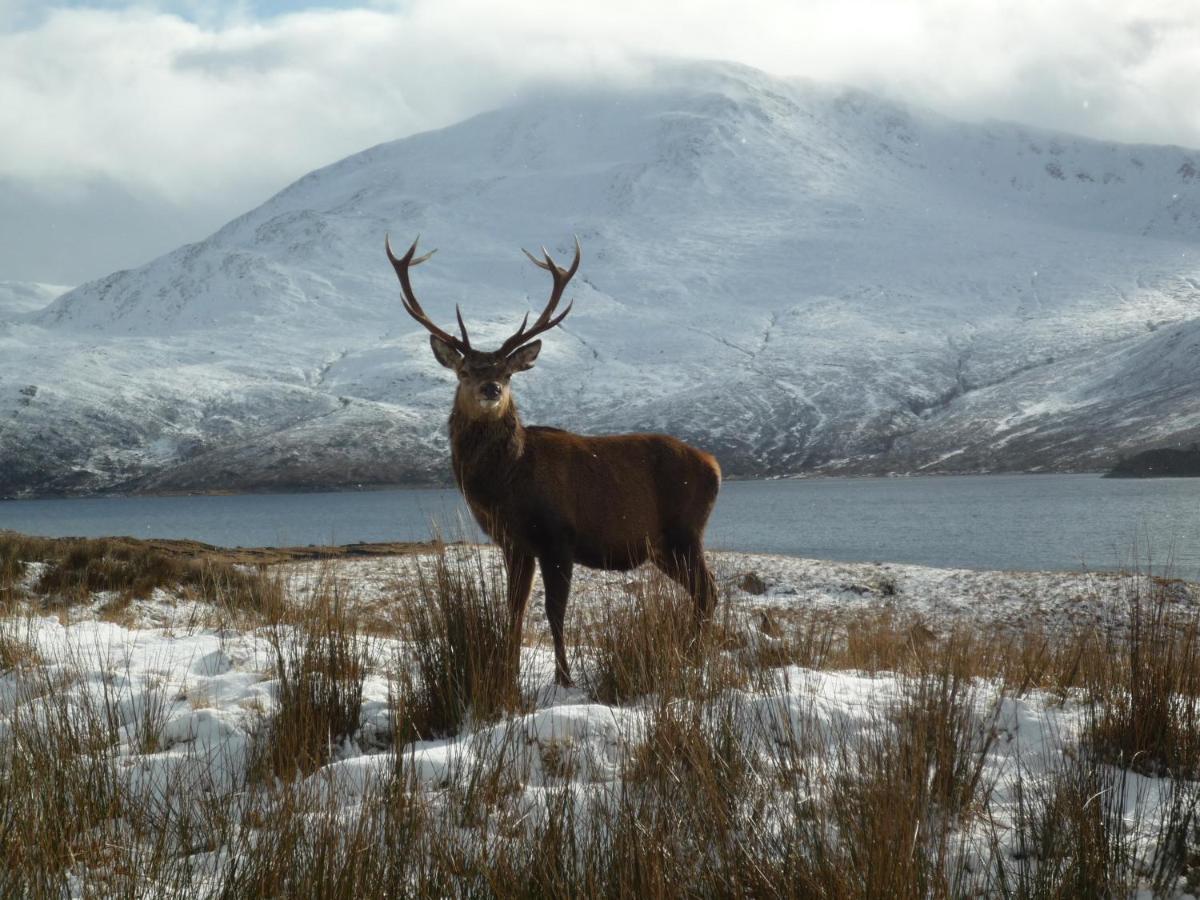 Caledonian Cabin Invergarry Exteriér fotografie